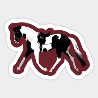 Dressage Pinto Warmblood Sticker